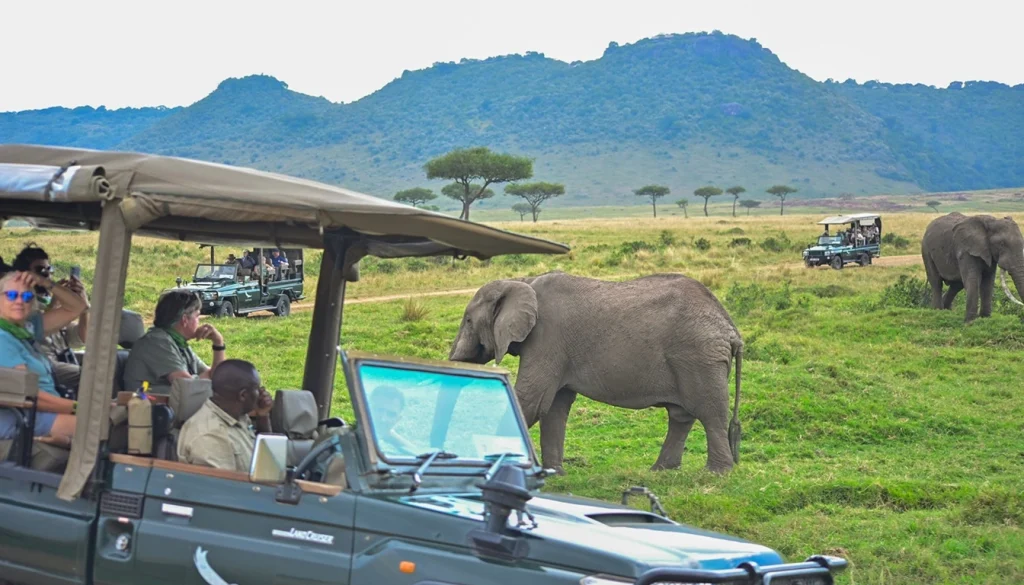 Kenya seals 160 million conservation finance deal