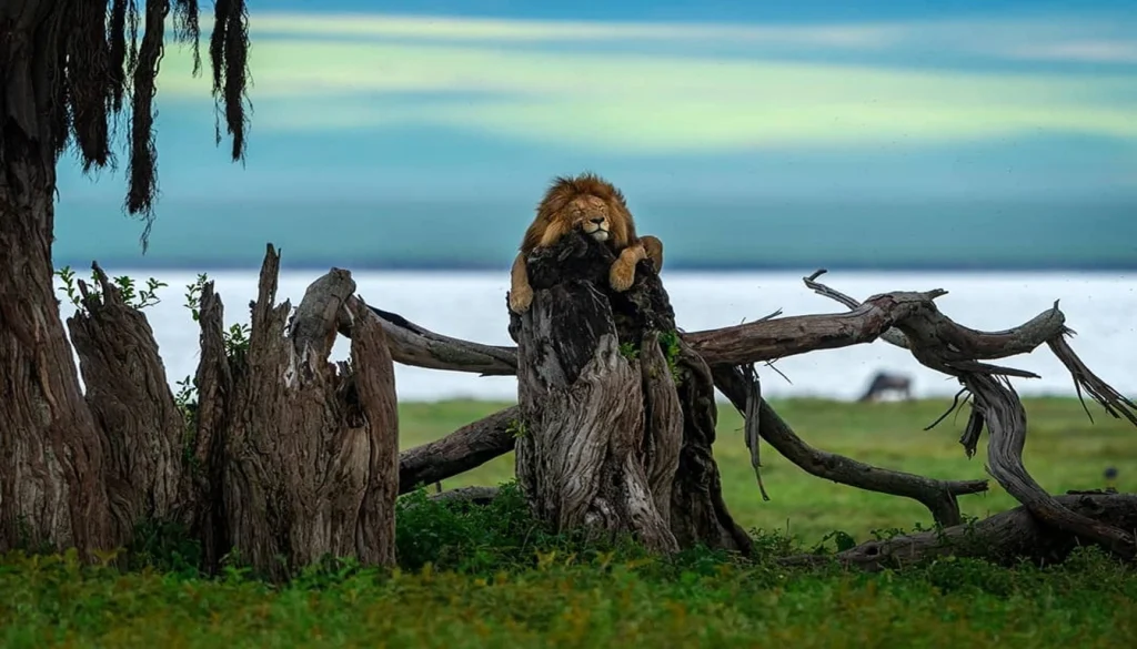 Ngorongoro Conservation Area