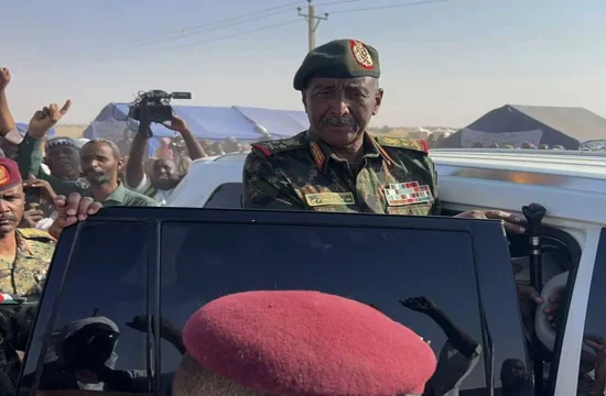 Sudan Chemical Weapons Probe