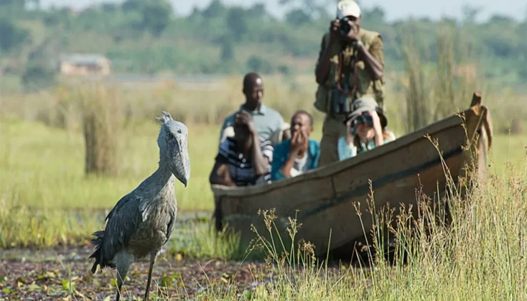 The Ssese Islands Uganda
