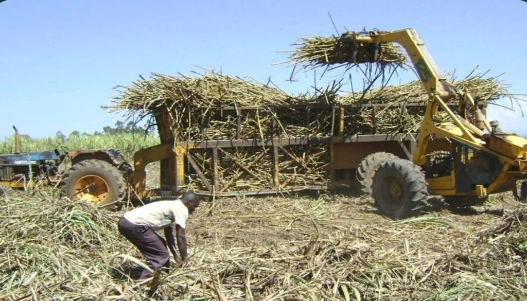 african resources