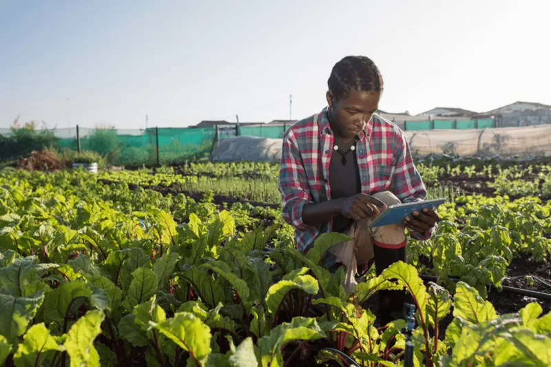 TraceX Collaborates with ‘Univision’ to Offer Traceability Solutions